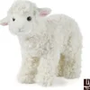Large Lamb